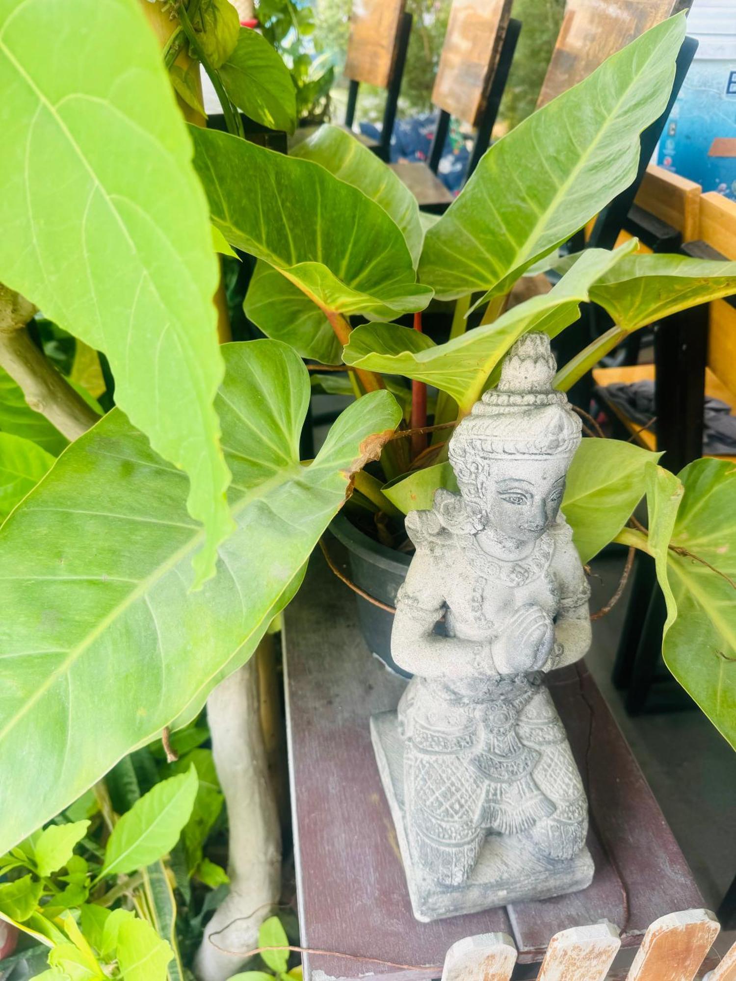 Chiang Mai Panda Hostel Eksteriør bilde
